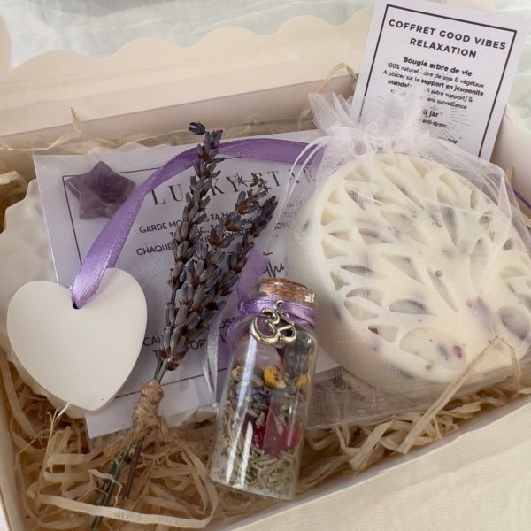 Eklyps coffret good vibes avec pierres naturelles, fleur de vie, fleurs, collier ou bracelet ou fiole ou bougie bien être cadeau