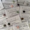 Eklyps pierre naturelles en forme d'étoiles, lucky star pour te guider, le plein de good vibes